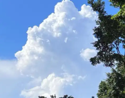 海东天气预报,海东7天天气预报,海东15天天气预报,海东天气查询